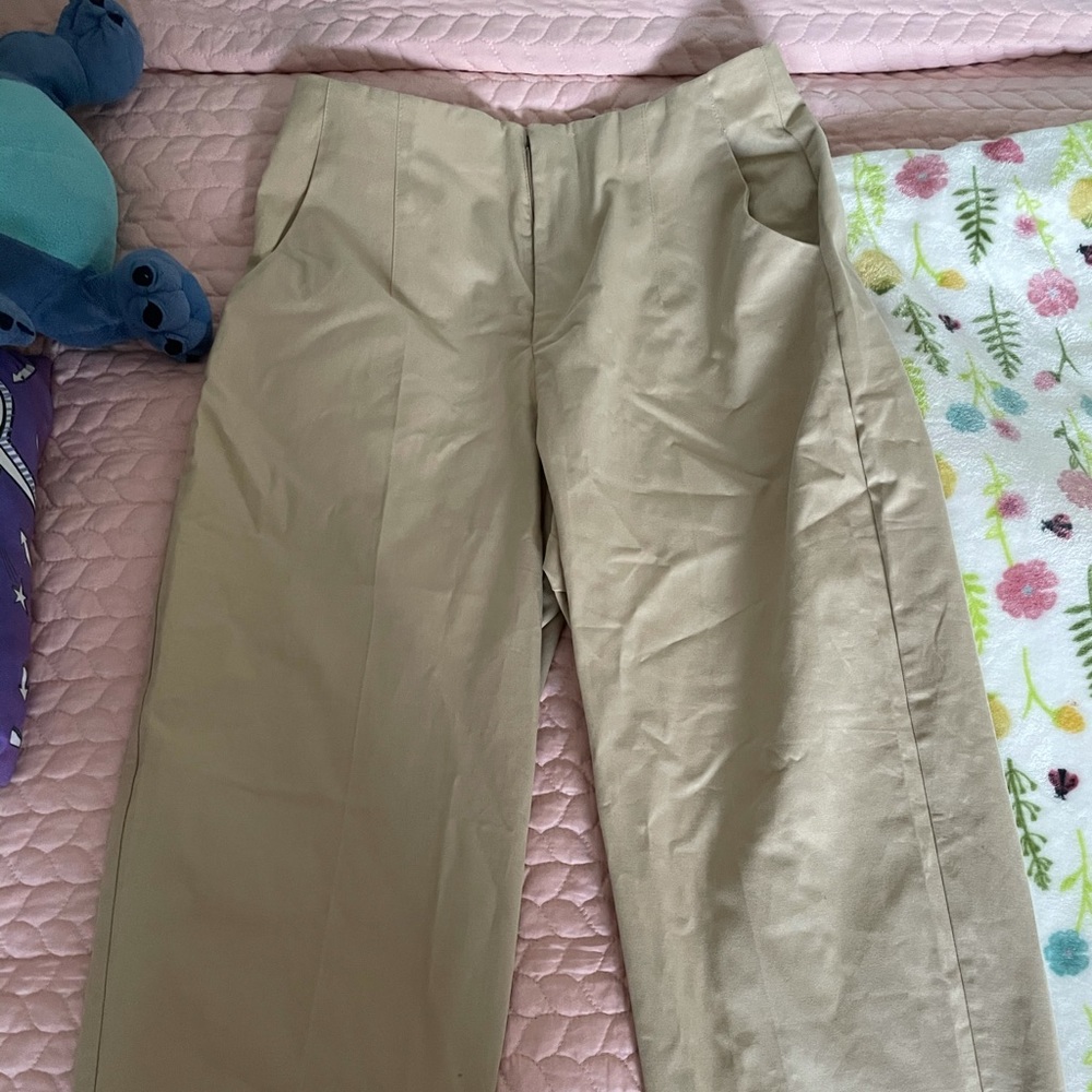 Zara Pants